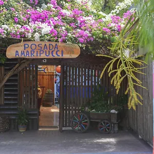 Amaripucci San Andrés